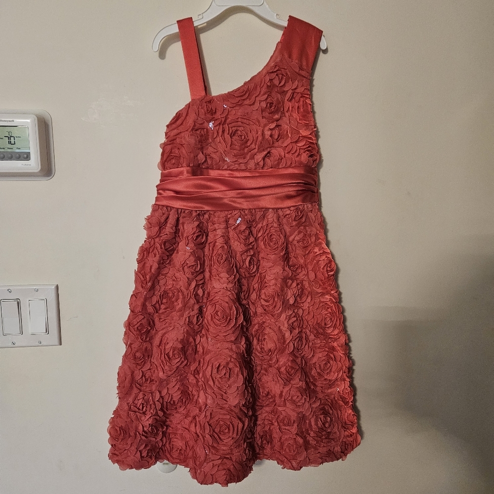 Girls Formal 1 Shoulder Floral Dress